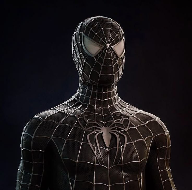 Black Spider-Man PFP