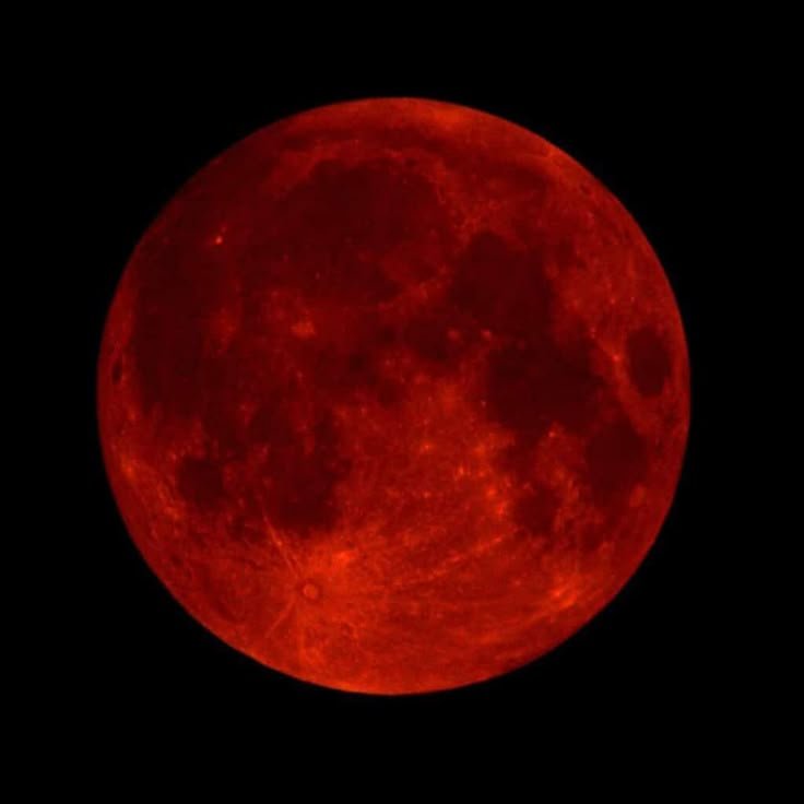 Blood Moon PFP