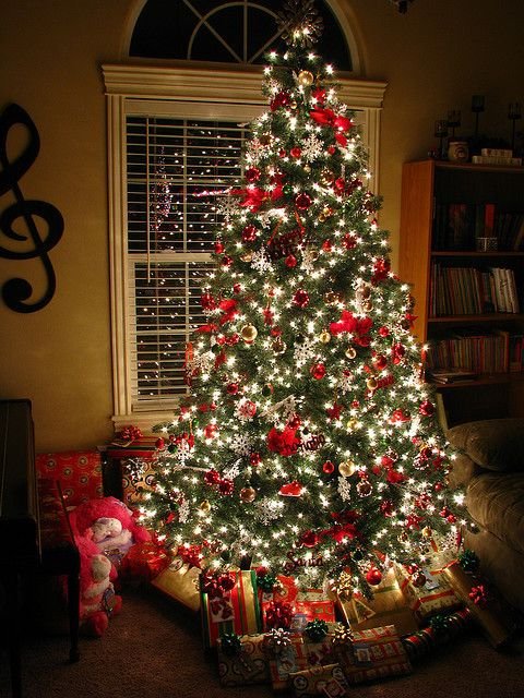 Christmas PFP Christmas Tree