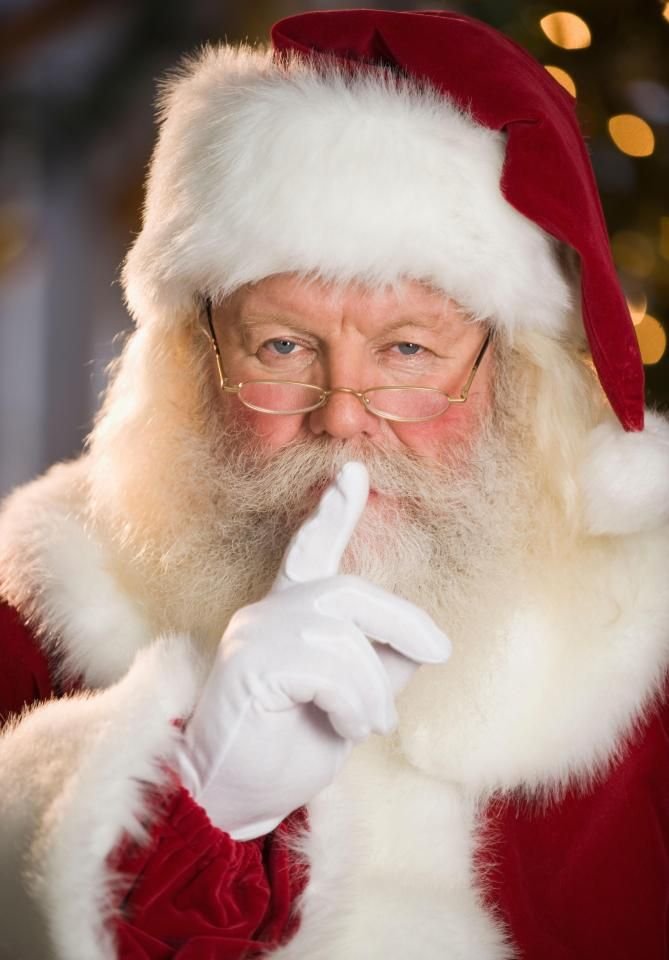 Christmas PFP Santa