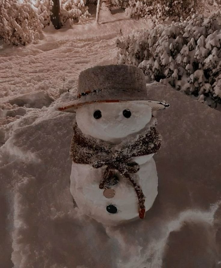Christmas PFP Snowman