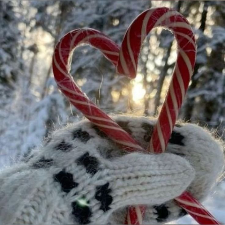 Christmas PFP Winter Wonderland
