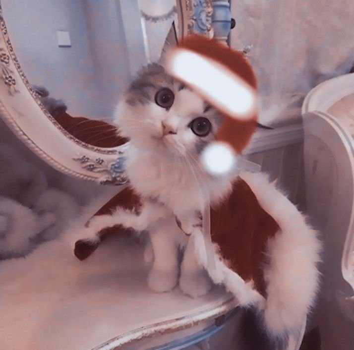 Christmas PFP for TikTok