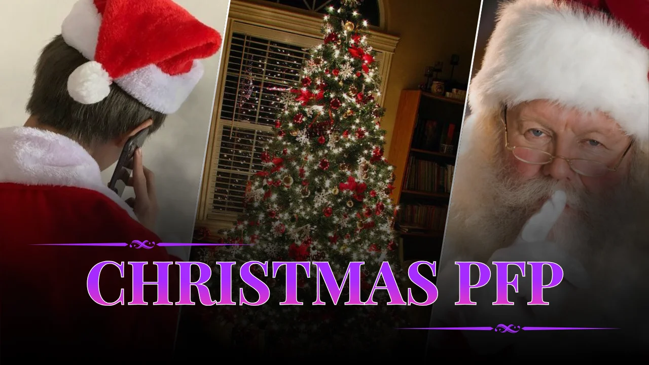 Christmas PFP