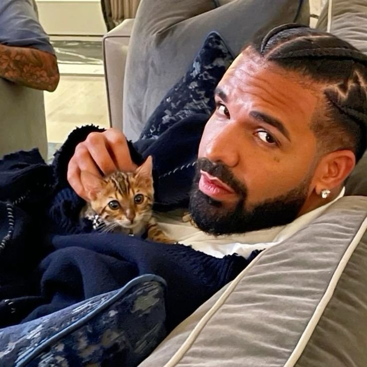 Cool Drake PFP