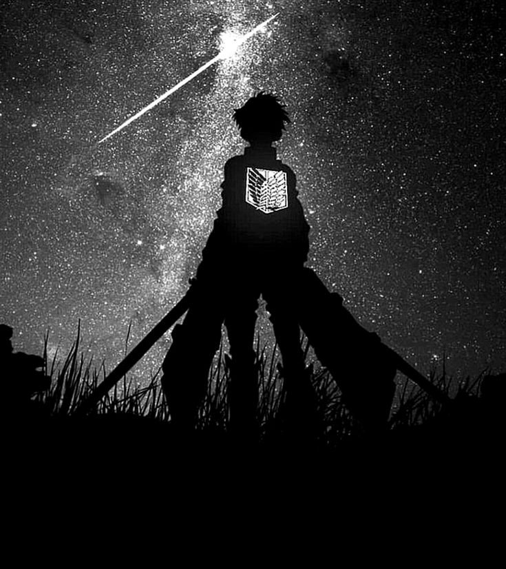 Dark AOT PFP