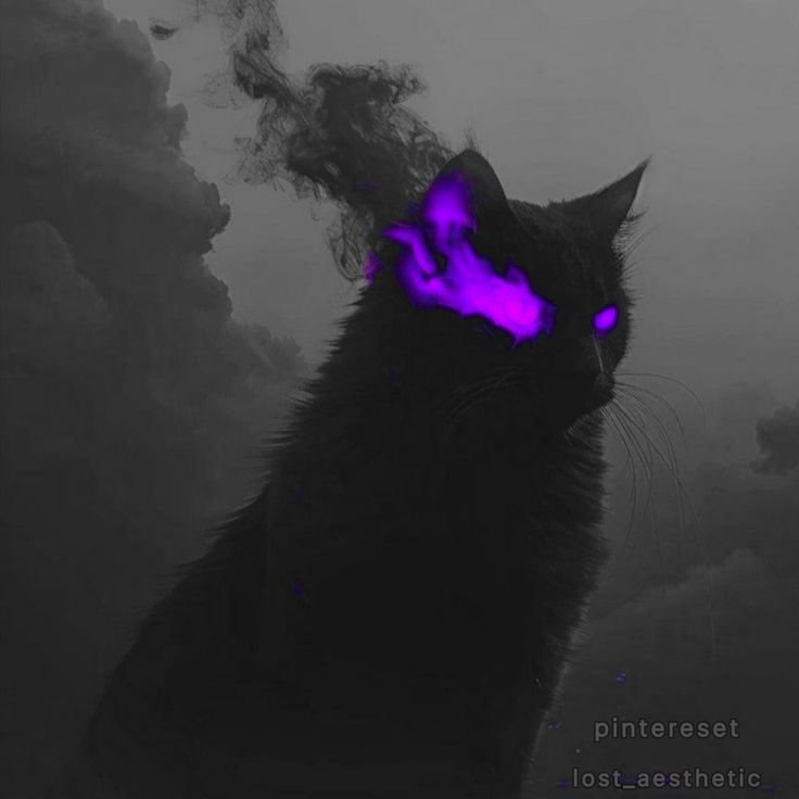 Dark PFP Pinterest