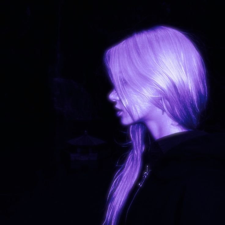 Dark Purple PFP