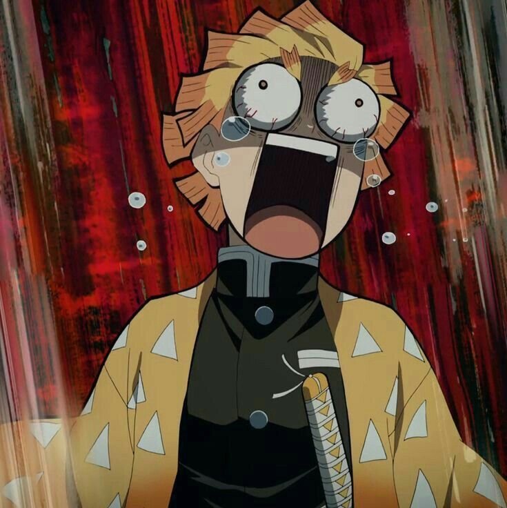 Demon Slayer PFP Funny