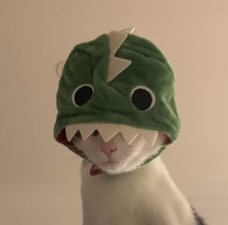Dinosaur PFP Cute