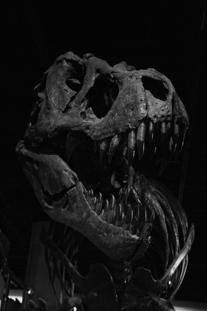 Dinosaur PFP Dark