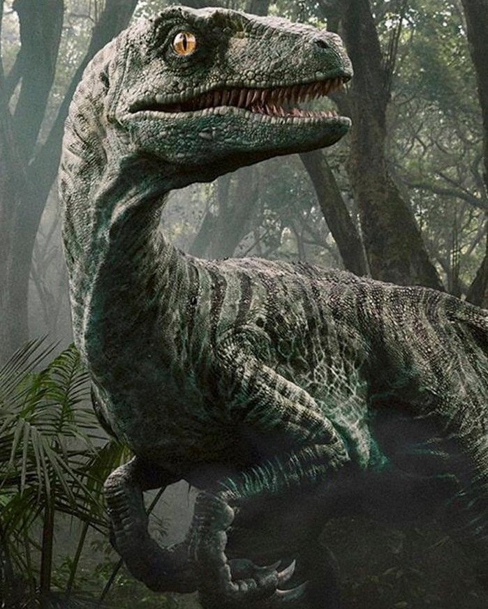 Dinosaur PFP Raptor