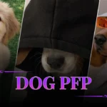 Dog PFP