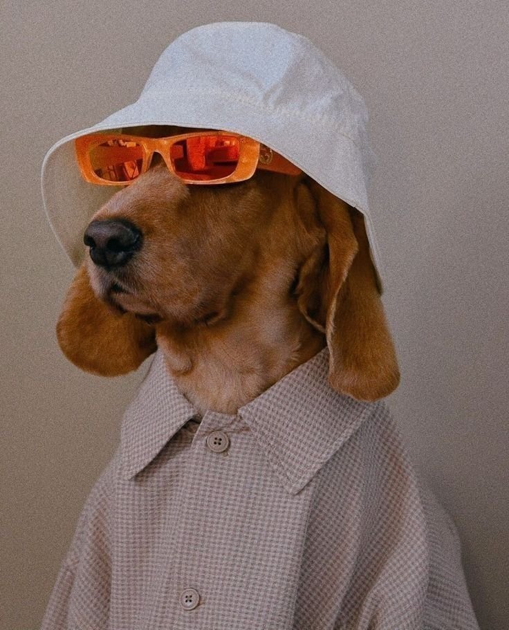 Dog PFP Pinterest