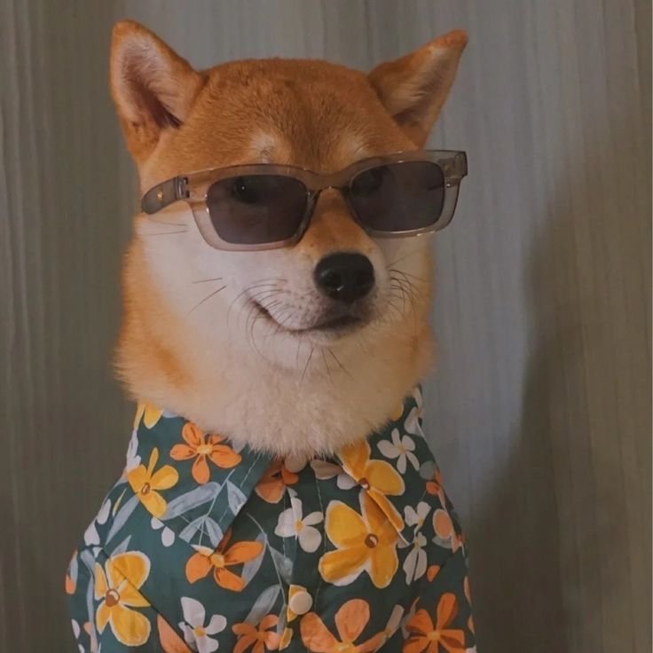 Dog PFP TwitterX