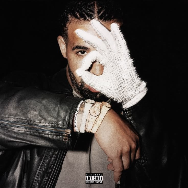 Drake PFP Aesthetic
