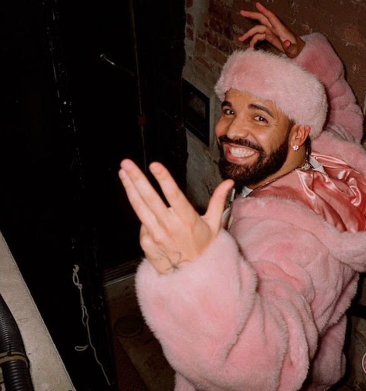 Drake PFP Ig