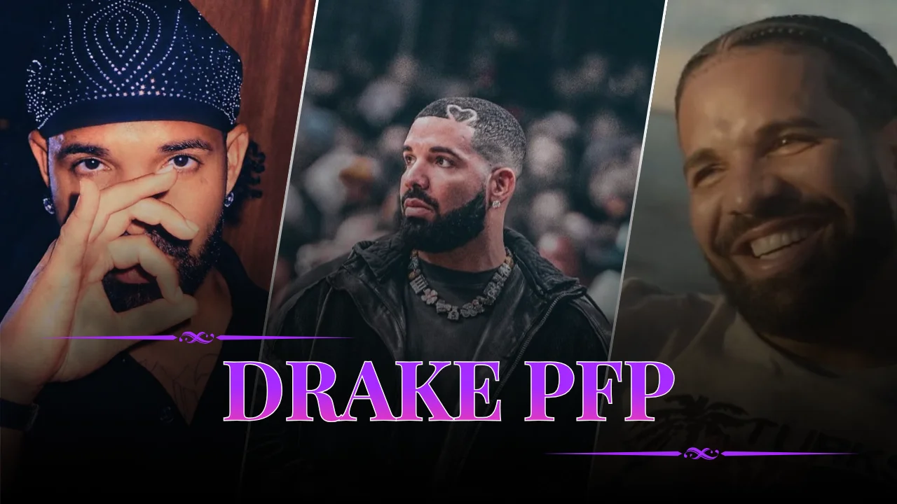 Drake PFP