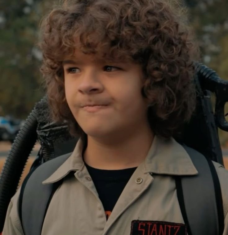 Dustin Stranger Things PFP