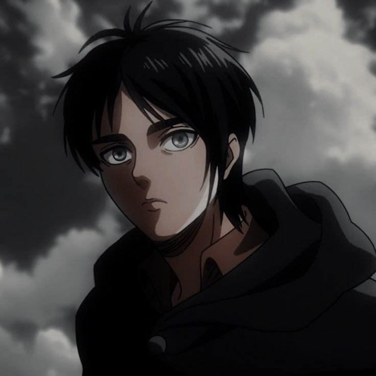 Eren PFP Anitok