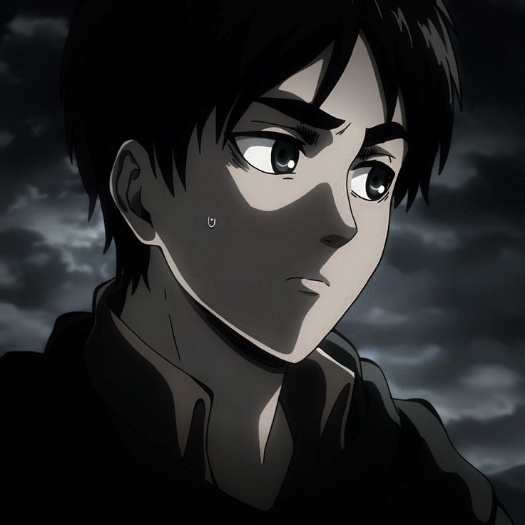 Eren PFP Emotional