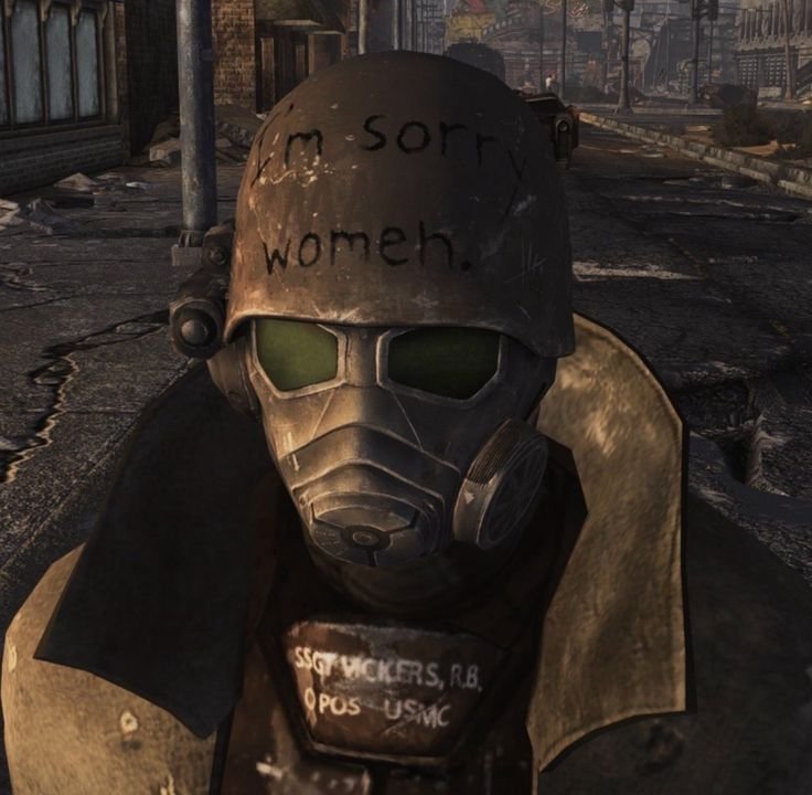 Fallout New Vegas PFP
