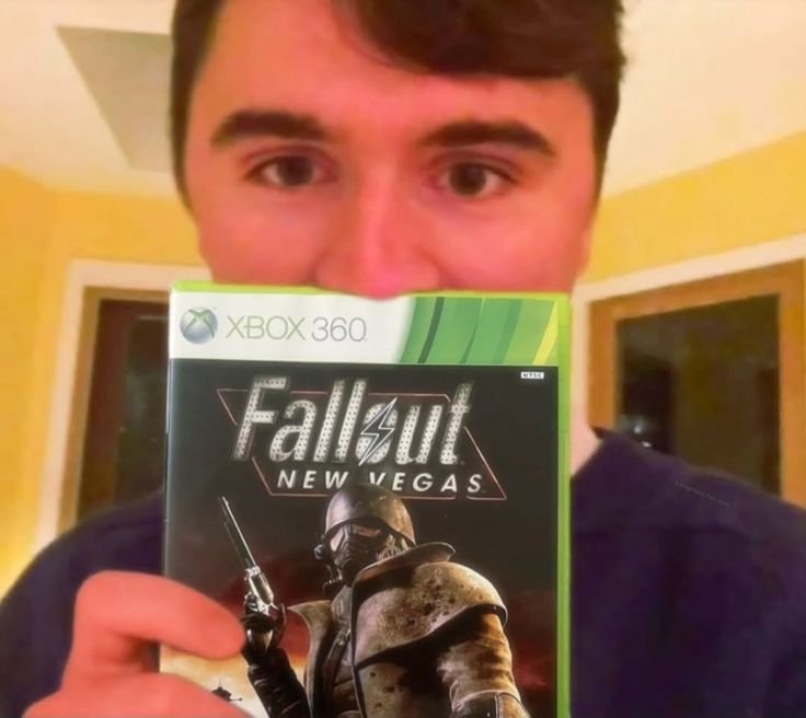 Fallout PFP Meme