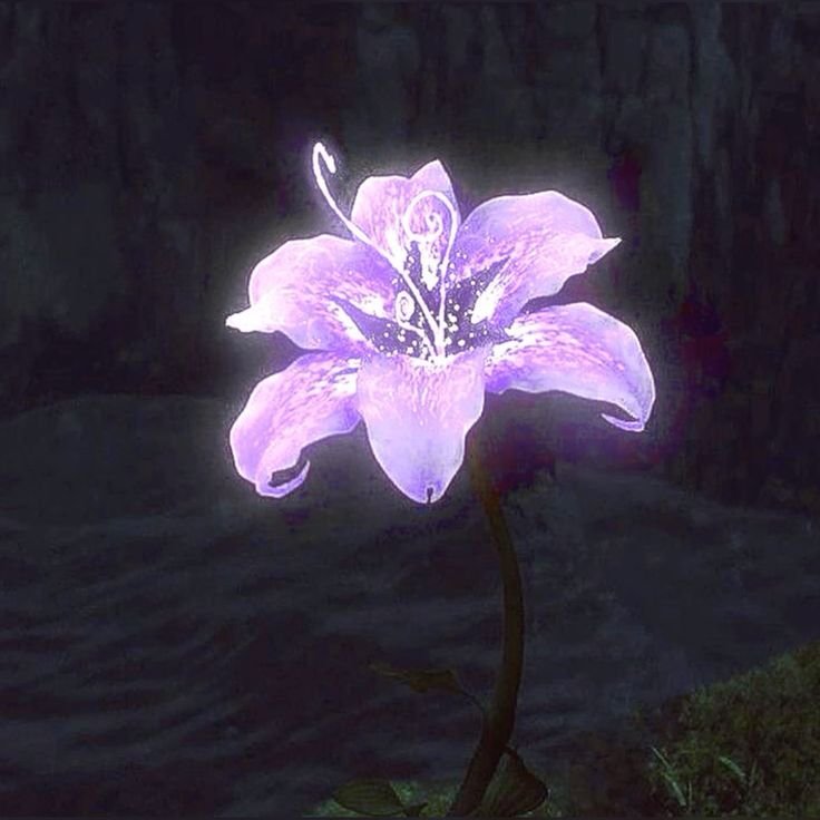 Flower PFP TikTok