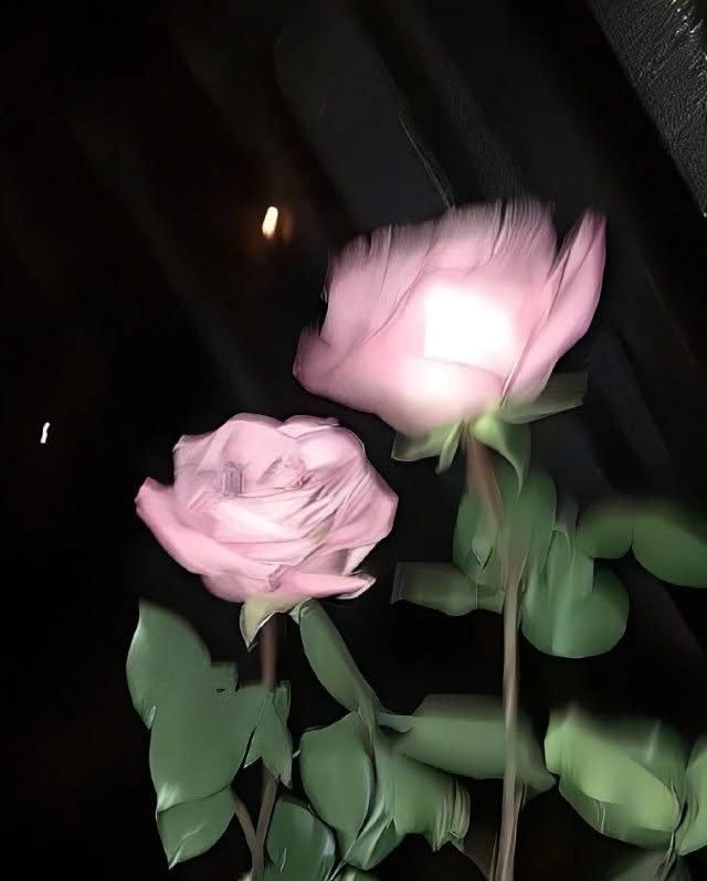 Flower PFP TikTok