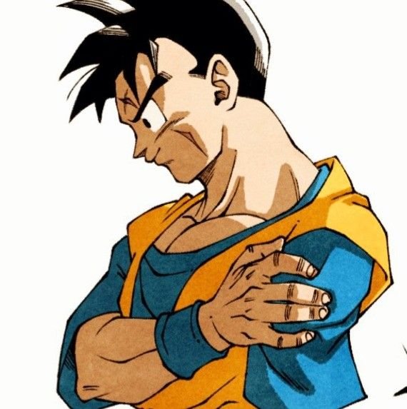 Future Gohan PFP