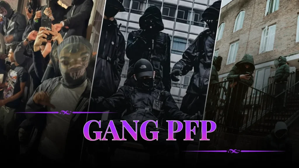Gang PFP