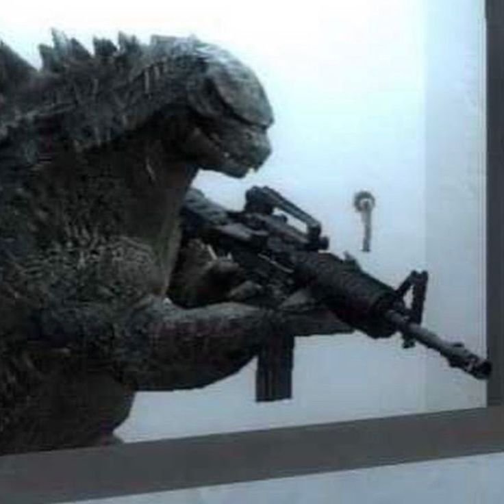 Godzilla PFP Meme