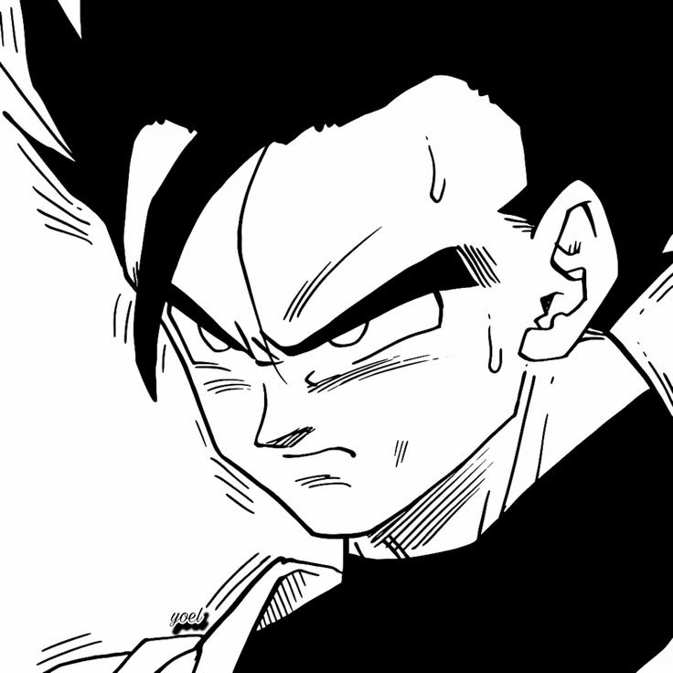 Gohan PFP Manga