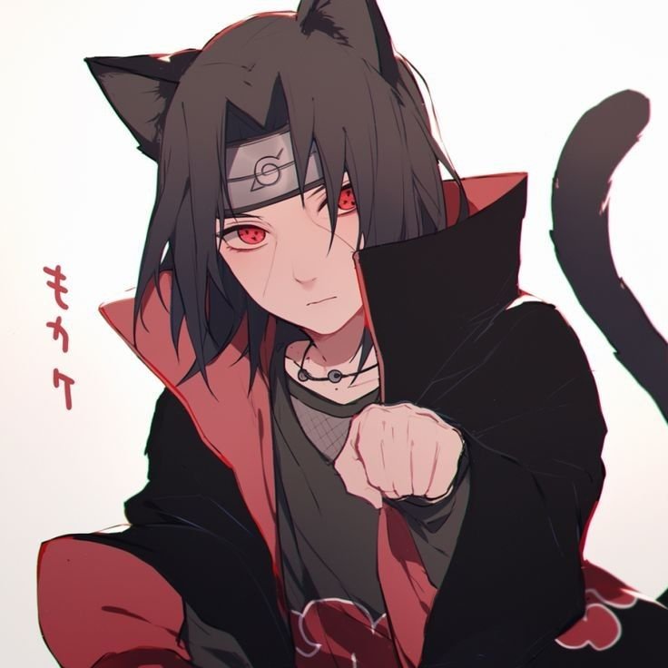 Itachi PFP Cute