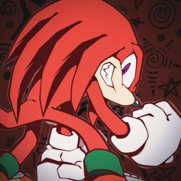 Knuckles PFP Aesthetic