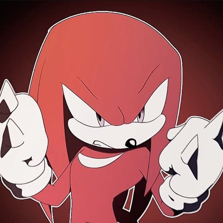 Knuckles PFP Angry