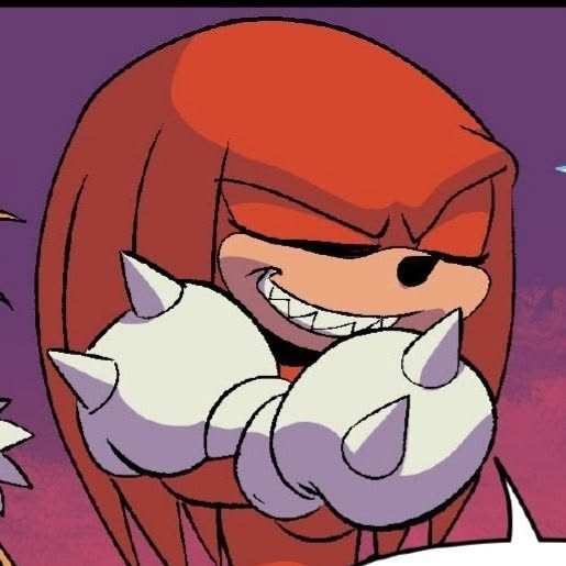 Knuckles PFP Cool