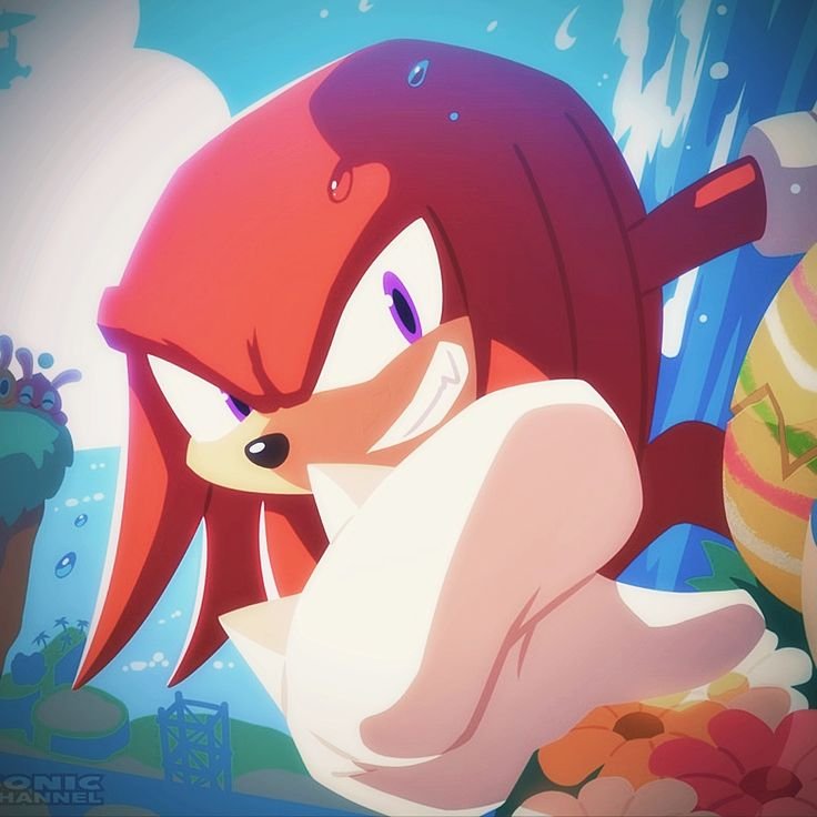 Knuckles PFP Cute