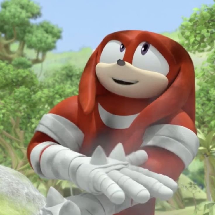 Knuckles PFP Funny