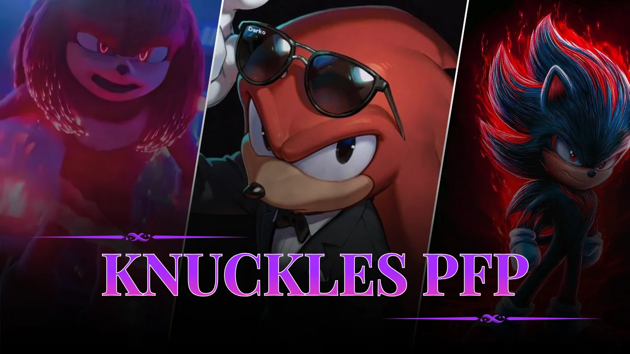 Knuckles PFP