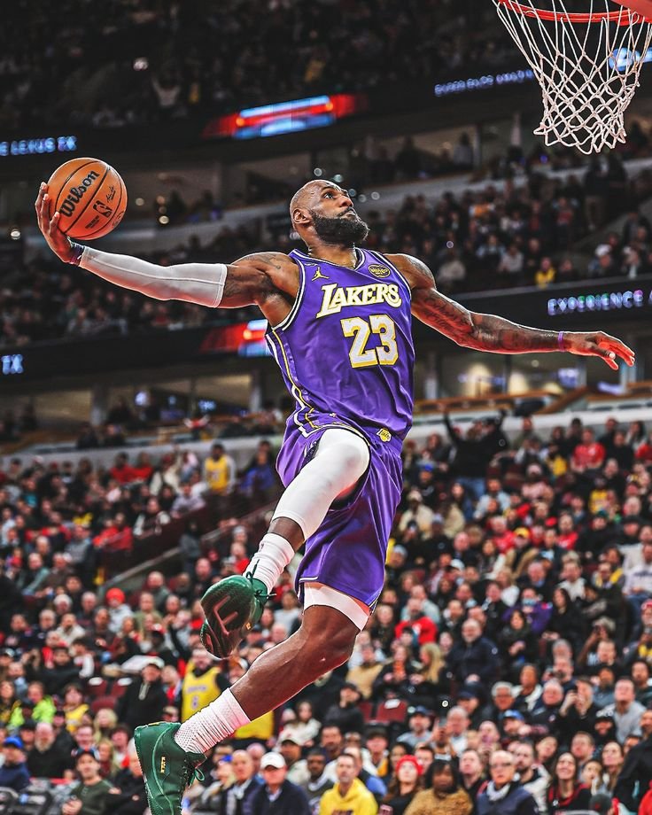 LeBron PFP Basketball