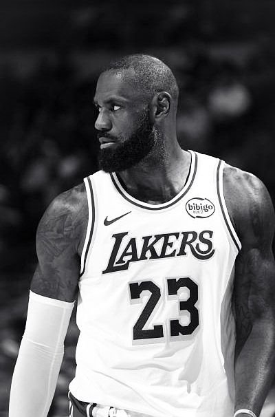 LeBron PFP Black And White