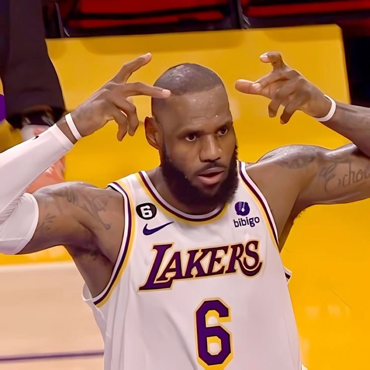 LeBron PFP Lakers