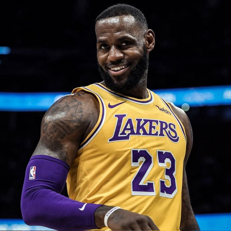 LeBron PFP Lakers