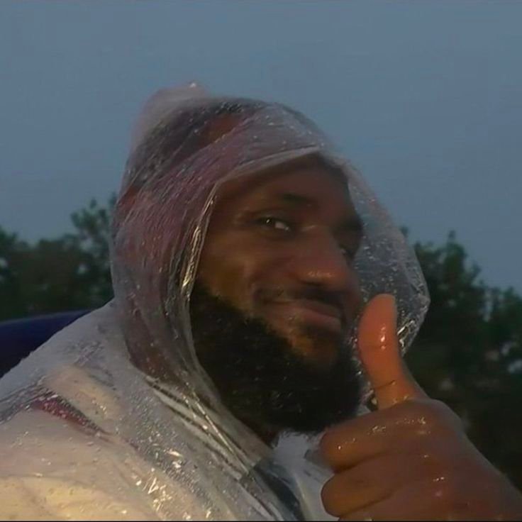 LeBron PFP Meme
