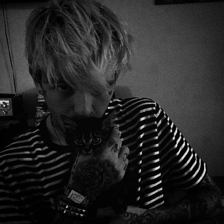 Lil Peep PFP Dark