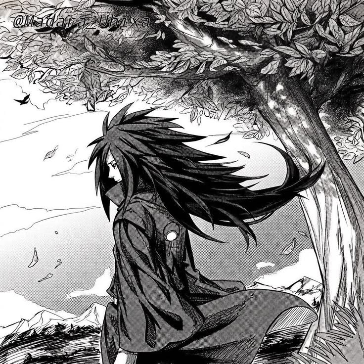 Madara PFP Manga