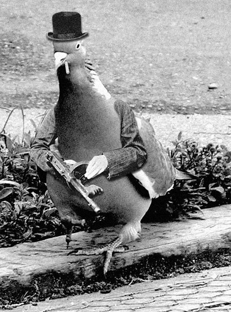 Mafioso PFP Funny