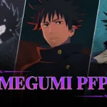 Megumi PFP