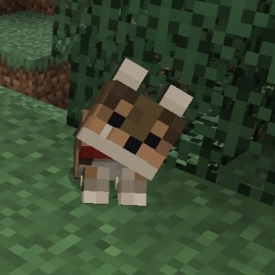Minecraft PFP Cute
